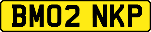 BM02NKP