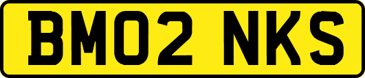 BM02NKS