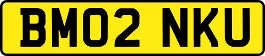 BM02NKU