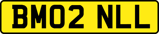 BM02NLL