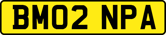BM02NPA