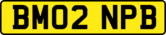 BM02NPB