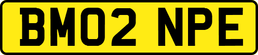 BM02NPE