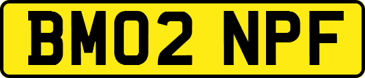 BM02NPF