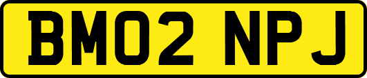 BM02NPJ