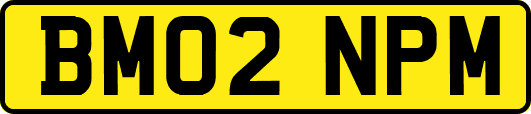 BM02NPM