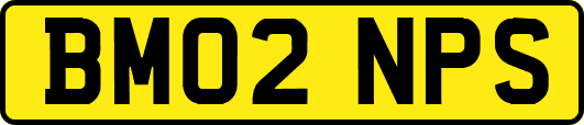 BM02NPS