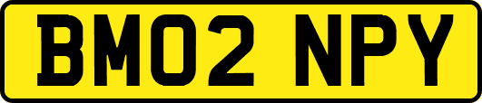 BM02NPY
