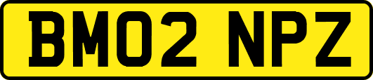 BM02NPZ