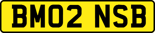 BM02NSB