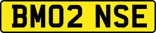 BM02NSE