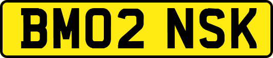 BM02NSK