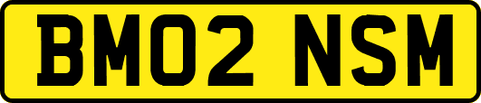 BM02NSM