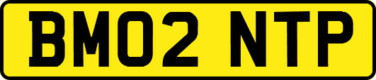 BM02NTP
