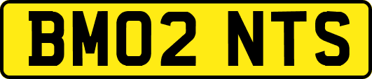 BM02NTS