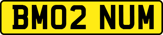 BM02NUM