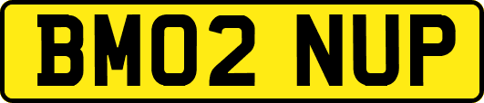 BM02NUP