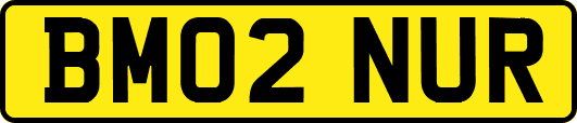 BM02NUR