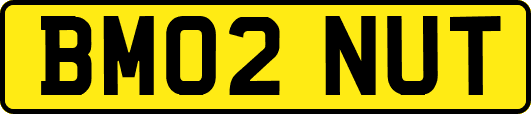 BM02NUT