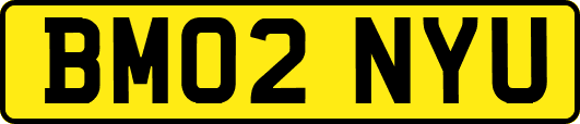 BM02NYU