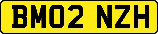 BM02NZH