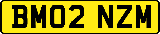 BM02NZM