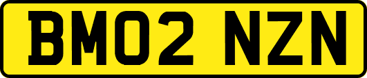 BM02NZN