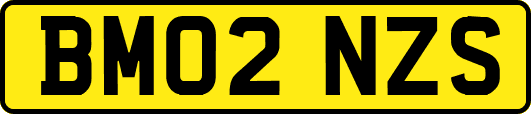 BM02NZS
