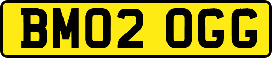 BM02OGG