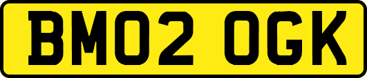 BM02OGK