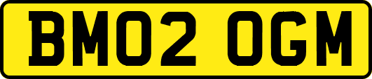 BM02OGM