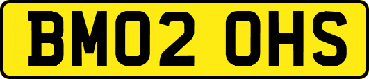 BM02OHS
