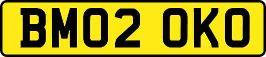 BM02OKO