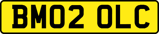 BM02OLC