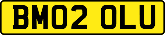 BM02OLU