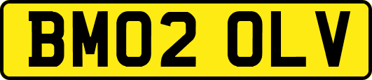 BM02OLV