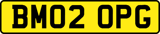 BM02OPG