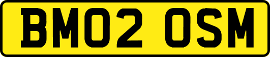 BM02OSM