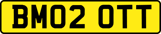 BM02OTT