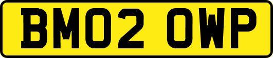 BM02OWP
