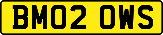 BM02OWS