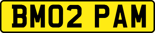 BM02PAM