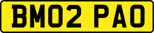 BM02PAO