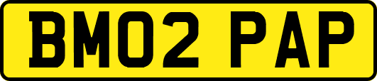 BM02PAP