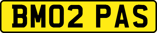 BM02PAS