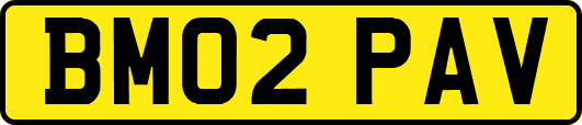 BM02PAV