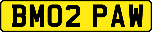 BM02PAW