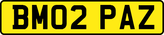 BM02PAZ