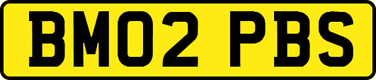 BM02PBS