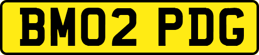 BM02PDG